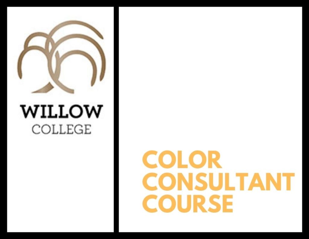 Become a Color Consultant