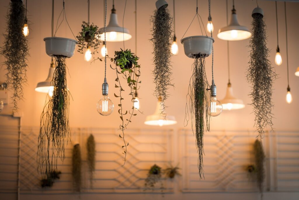 Hanging plants with pendant lights - a great way of using living things.